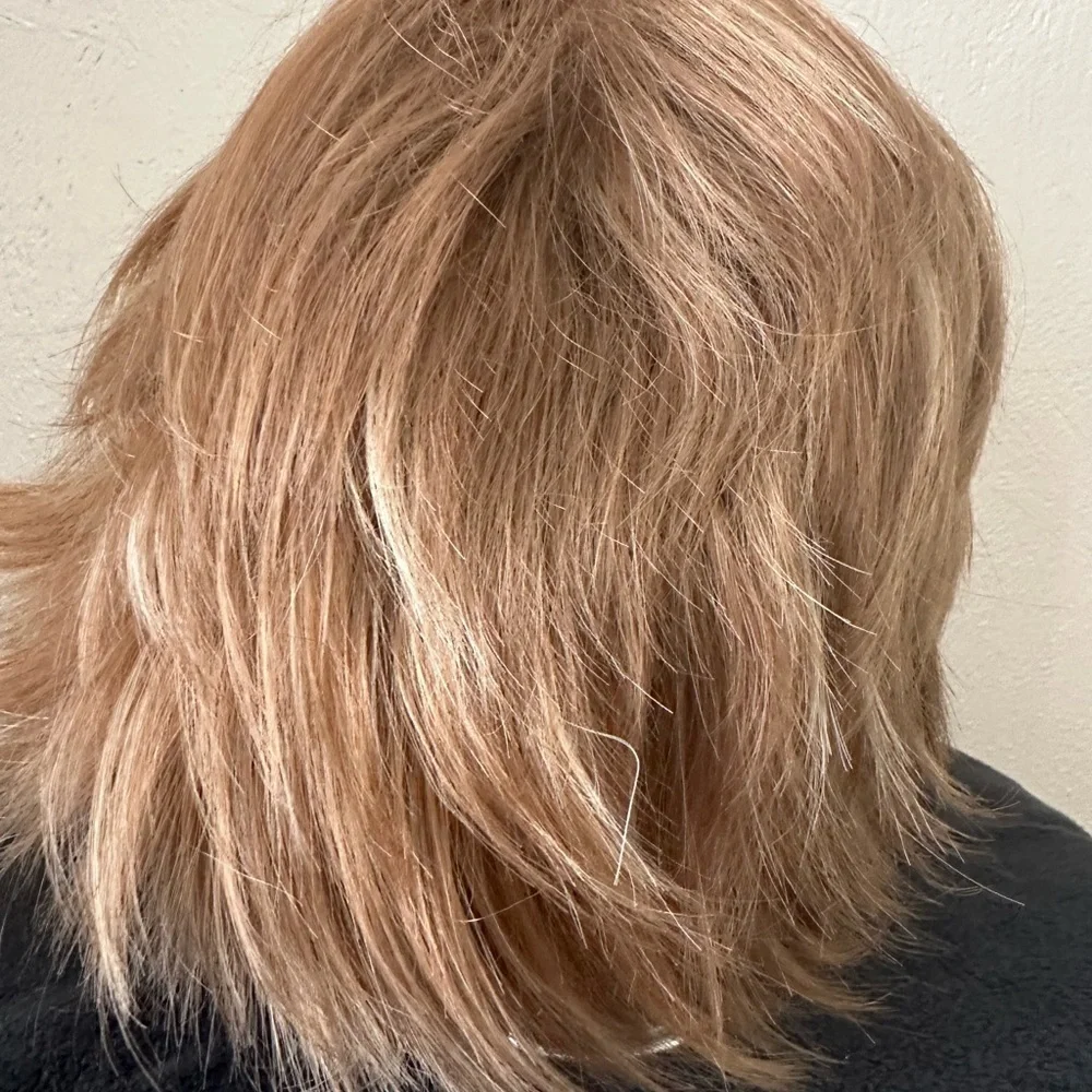 Natural Wig Shag with Highlights